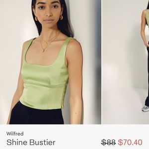 ISO Aritzia Shine Bustier